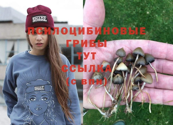 PSILOCYBIN Вязники